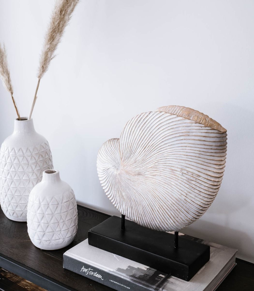 Simpukkakoriste SHELL