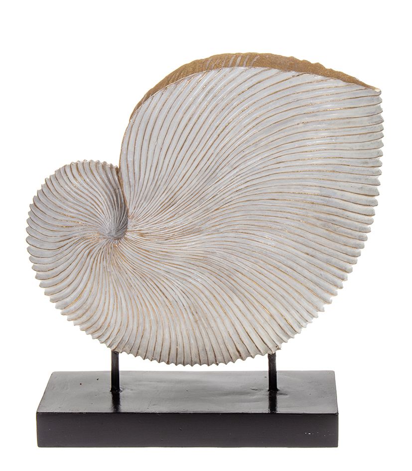 Simpukkakoriste  SHELL